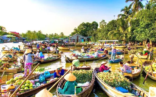 Chợ nổi Cái Răng: Nét sinh hoạt đặc trưng sông nước miền Tây mùa trái chí
