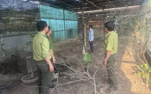 Quảng Ngãi phát hiện nhiều cơ sở nuôi nhốt động vật hoang dã trái phép