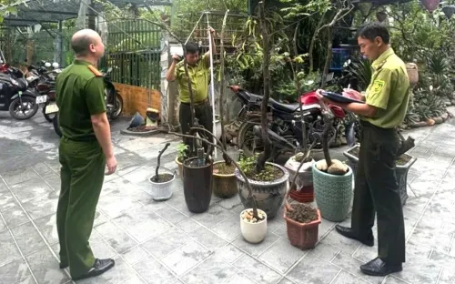 Ninh Bình xử lý 8 vụ khai thác, tàng trữ trái phép cây muội hồng từ rừng tự nhiên