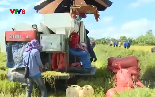 Nghệ An, Hà Tĩnh: Khẩn trương khắc phục hậu quả dông lốc và mưa đá diện rộng