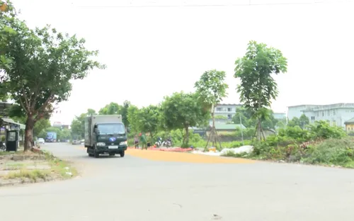Mối hiểm nguy từ việc phơi lúa trên các tuyến giao thông
