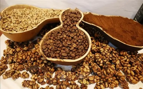 Bản tin nông sản hôm nay (7-5): Giá cà phê tăng nhẹ