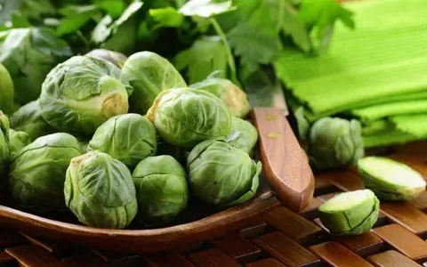 Vì sao bắp cải được khuyến khích trong chế độ giảm cân?