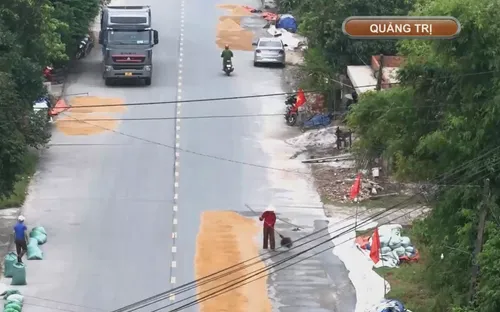 Mối hiểm nguy từ phơi lúa trên tuyến giao thông