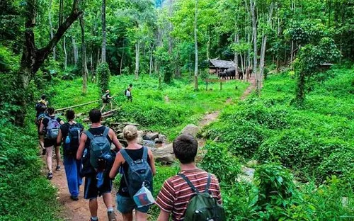 Gia Lai đẩy mạnh du lịch cộng đồng gắn với bảo tồn rừng và văn hóa bản địa