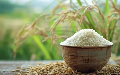 Bản tin nông sản hôm nay (11-5): Giá cà phê và hồ tiêu cùng tăng