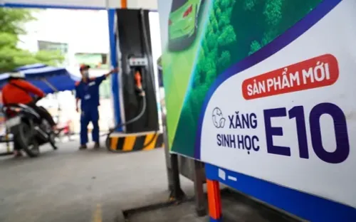 Petrolimex công bố giá xăng E10 hơn 24.000 đồng/lít, nhiều nơi dừng bán xăng khoáng