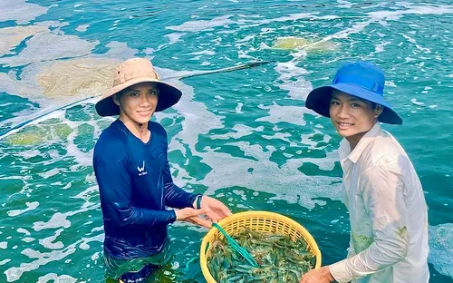 Mỹ công bố sơ bộ mức thuế chống bán phá giá mới với tôm Việt Nam