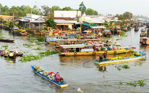 Mùa nước nổi miền Tây: Bản giao hưởng của thiên nhiên và con người