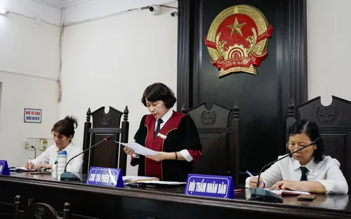 Nữ giúp việc nhiều lần bạo hành cụ bà 82 tuổi ở Hà Nội hầu tòa