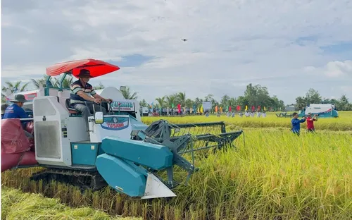 Gạo phát thải thấp tạo lợi thế cạnh tranh mới