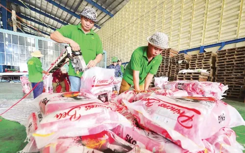 Xuất khẩu gạo “đón sóng” thị trường
