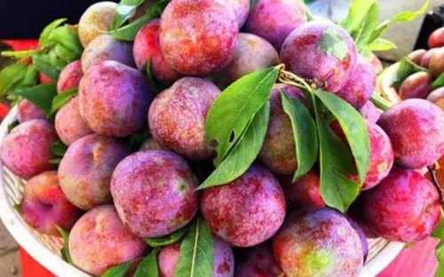 Mận hậu có giúp làm đẹp da?