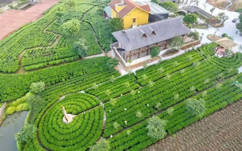 Du lịch cộng đồng mở hướng phát triển mới cho vùng chè Thái Nguyên