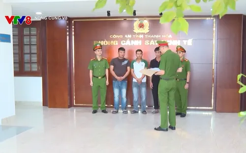 Khởi tố đối tượng mua bán lợn nhiễm dịch tả Châu phi