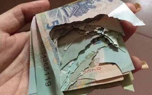 Đề xuất cắt giảm thủ tục đổi tiền rách, tiền cháy theo hướng nhanh gọn hơn