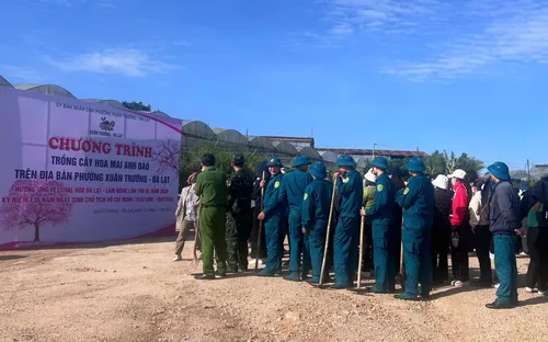Đà Lạt: Rộn ràng ngày hội trồng mai anh đào mừng sinh nhật Bác