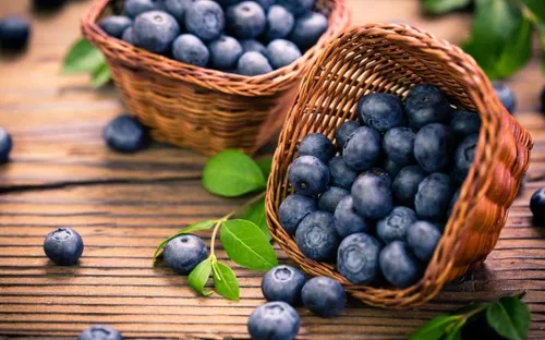 Lý do nên ăn quả việt quất khi căng thẳng