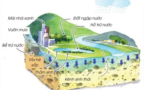 Hà Nội sẽ chống ngập bằng mô hình 'thành phố bọt biển'