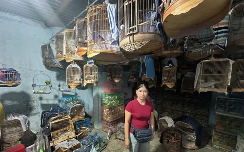 Khởi tố trạm trưởng kiểm lâm vì bị cáo buộc báo trước thông tin kiểm tra cơ sở nuôi nhốt động vật hoang dã