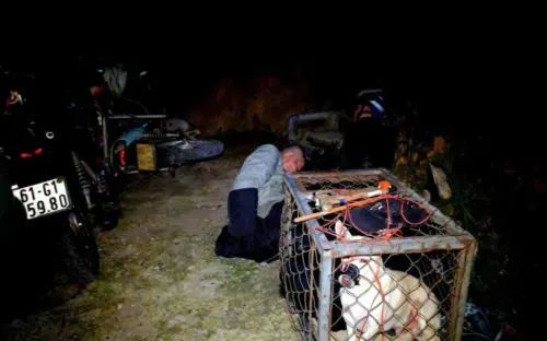 Bắt nhóm đối tượng chuyên trộm chó, mèo ở Đà Lạt, một Phó trưởng Công an phường bị thương khi làm nhiệm vụ