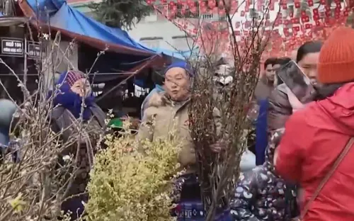 Lào Cai sẵn sàng cho Festival “Vang xa vó ngựa cao nguyên”