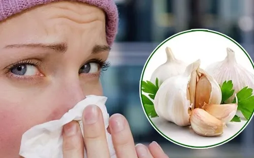 Cảnh báo trào lưu nhét tỏi vào mũi chữa nghẹt mũi: Không có cơ sở khoa học, tiềm ẩn nhiều nguy cơ