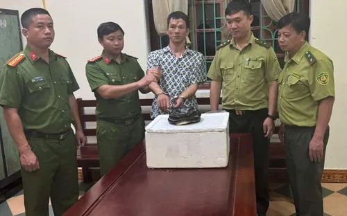 Khởi tố người đàn ông mua rắn hổ chúa trên mạng xã hội để sử dụng