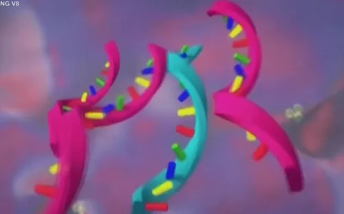 Cơ chế lây lan biến thể của dịch bệnh Ebola