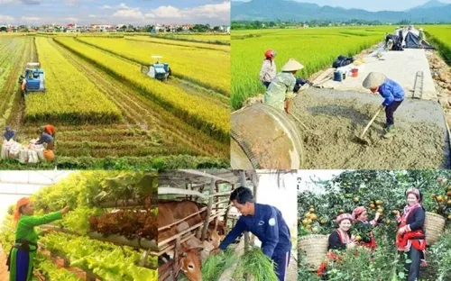 Thủ tướng yêu cầu đẩy nhanh tiến độ các chương trình nông thôn mới, giảm nghèo và phát triển vùng dân tộc thiểu số