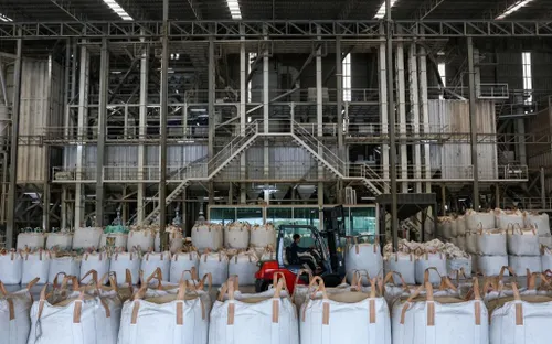 Thị trường gạo quốc tế nóng trở lại