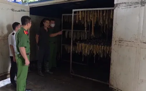 Bắc Ninh phát hiện hơn 3 tấn lòng lợn bốc mùi, không rõ nguồn gốc tại cơ sở kinh doanh