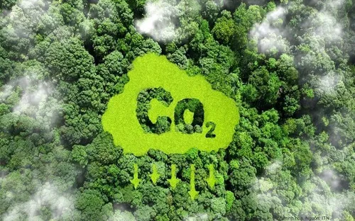 Từ tháng 7, giao dịch tín chỉ carbon rừng có hành lang pháp lý riêng