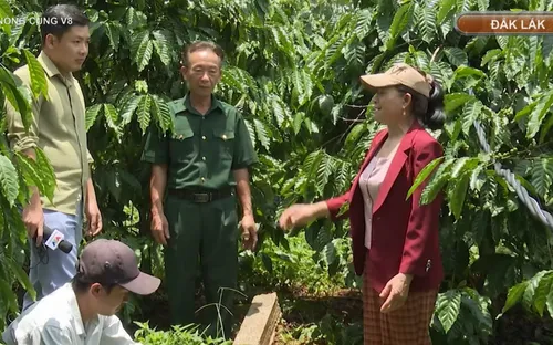 Đắk Lắk: Cảnh giác lừa đảo tín dụng sau vỏ bọc hợp tác xã