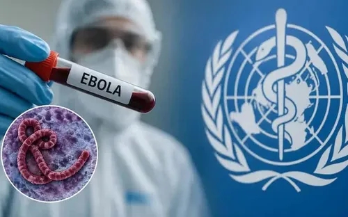 Bộ Y tế ban hành hướng dẫn mới về chẩn đoán, điều trị bệnh Ebola