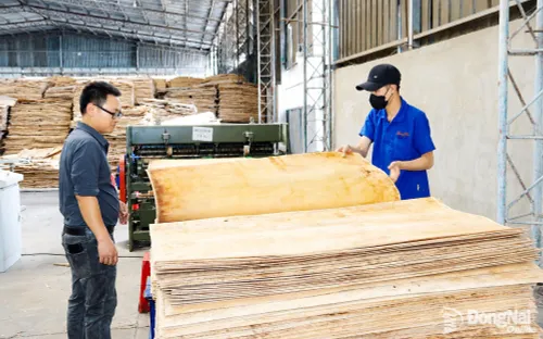 Khai thác cơ hội phát triển vật liệu gỗ kỹ thuật cho xây dựng xanh