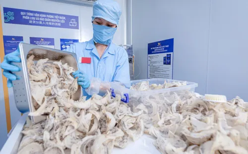 Cục Xuất nhập khẩu lưu ý thay đổi quan trọng với hàng thực phẩm vào Trung Quốc từ 1-6