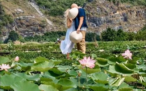 Mùa sen Hang Múa rực rỡ dưới chân núi Ngọa Long hút khách đến Ninh Bình