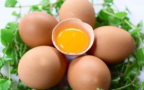 Mùa thi nên ăn gì để tăng tập trung và giữ sức khỏe?