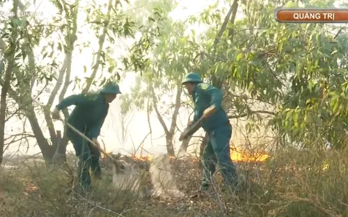 Quảng Trị dập tắt đám cháy rừng