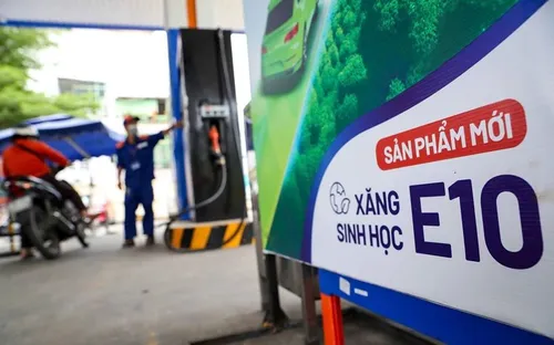 Trước giờ G áp dụng xăng E10, các hãng xe trấn an người dùng