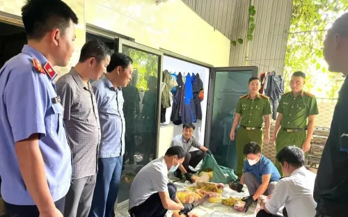 Khởi tố người đàn ông thu mua lợn nhiễm dịch, giết mổ bán ra chợ để trục lợi