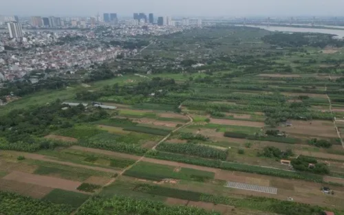 Bộ Nông nghiệp và Môi trường yêu cầu công khai thông tin vi phạm đất đai