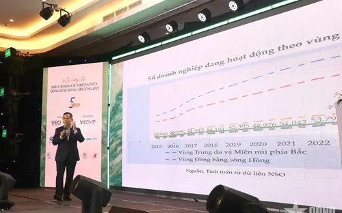 Phát triển doanh nghiệp Đồng bằng sông Cửu Long: Nhiều con số "buồn"