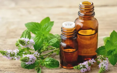 Nghiên cứu mới: Tinh dầu bạc hà có thể hỗ trợ hạ huyết áp