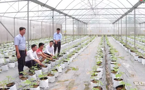 Chuyển đổi xanh tạo động lực tăng trưởng mới cho thành phố Cảng