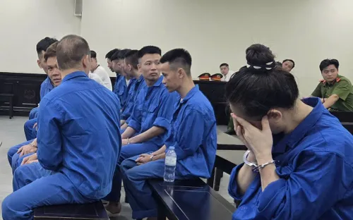 Giả danh Huấn Hoa Hồng lừa vay tiền online, nhóm 20 bị cáo lĩnh án nặng