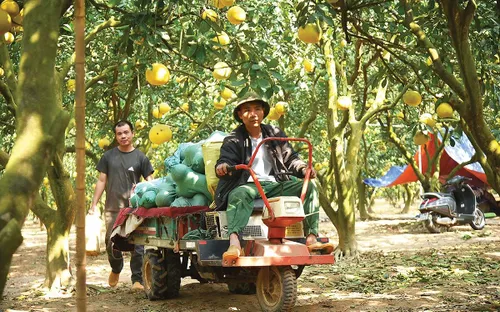 Đưa khởi nghiệp trở thành cơ hội mở cho mỗi người