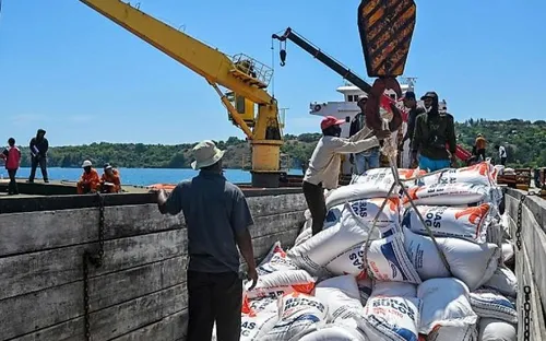 Giá gạo châu Á tăng mạnh nhất gần 20 năm