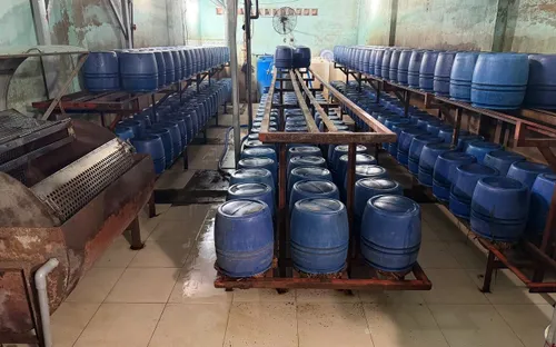 Khởi tố 4 bị can trong đường dây sản xuất giá đỗ sử dụng hóa chất cấm, tiêu thụ hơn 1.000 tấn ra thị trường